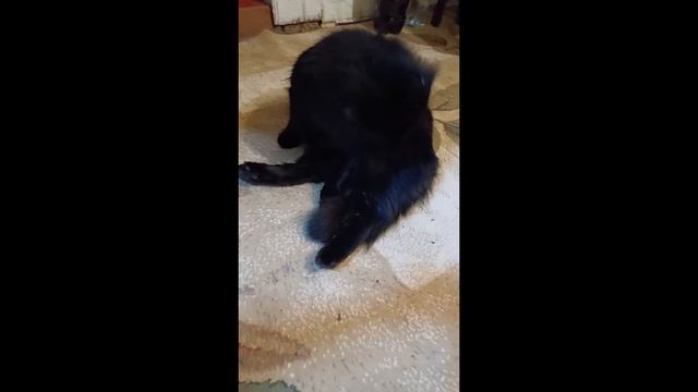 Всех с Сочельником и Рождеством Христовым!