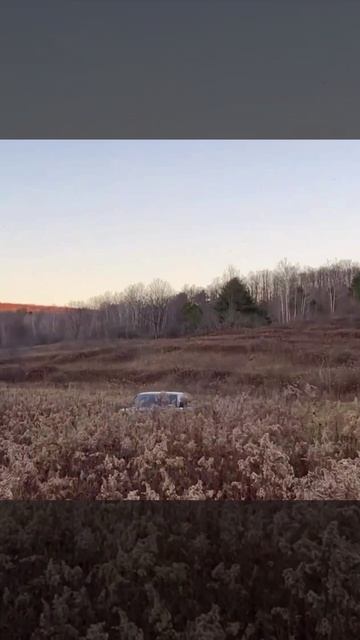 Видео не для слабонервных смотреть онлайн