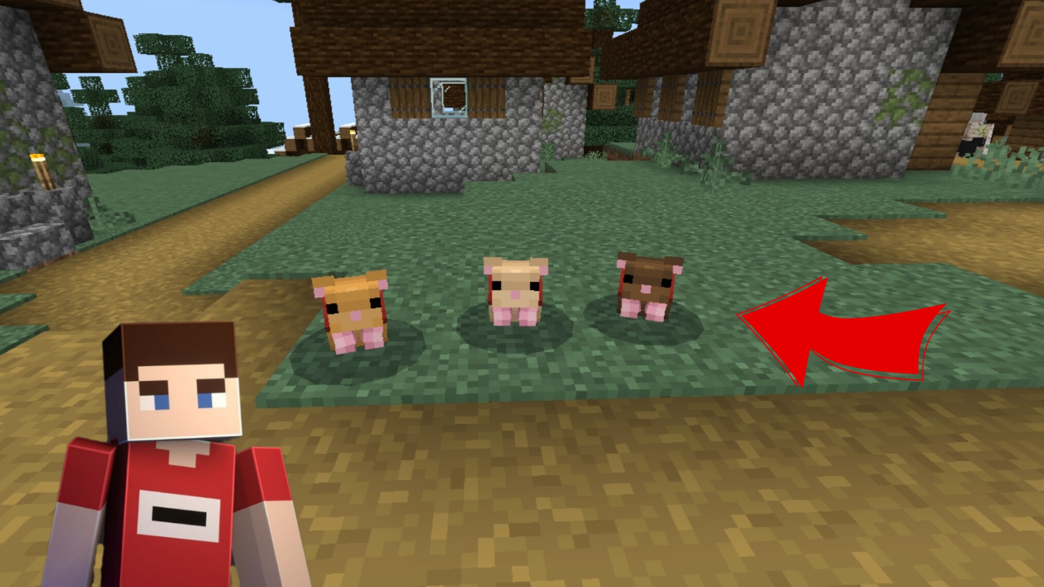 Я скачал мод на хомяков в Майнкрафте | ManeLego minecraft