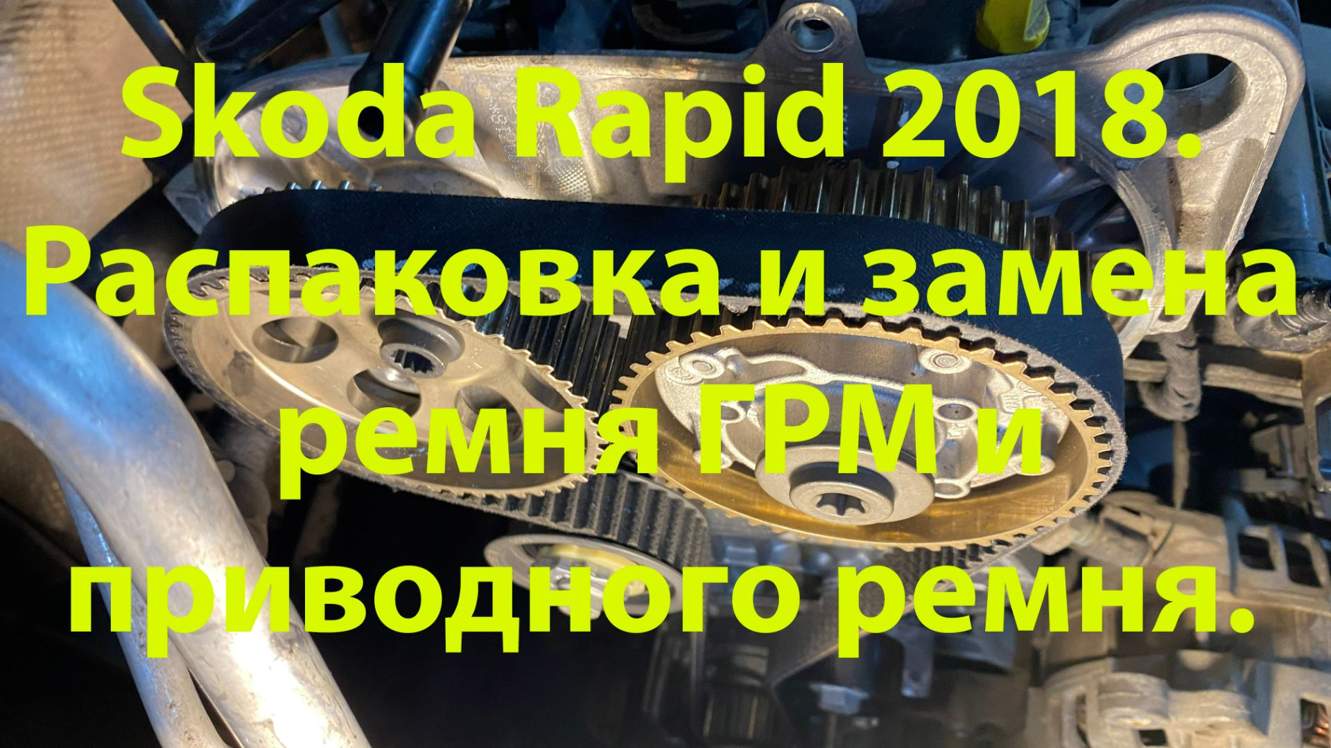 Skoda Rapid 2018. Распаковка и замена ремня ГРМ и приводного ремня.