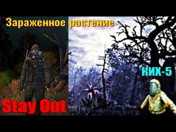 ⭐Stay Out⭐Зараженное растение . КИХ-5 ЮТУБ НЕ РОБИТ VK - PLAY .