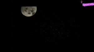 Бессмертная классика. Иоганн Себастьян Бах.