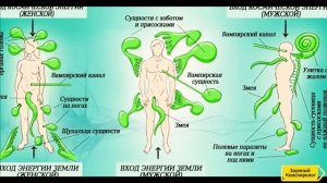 Зачем запретили железные кровати?