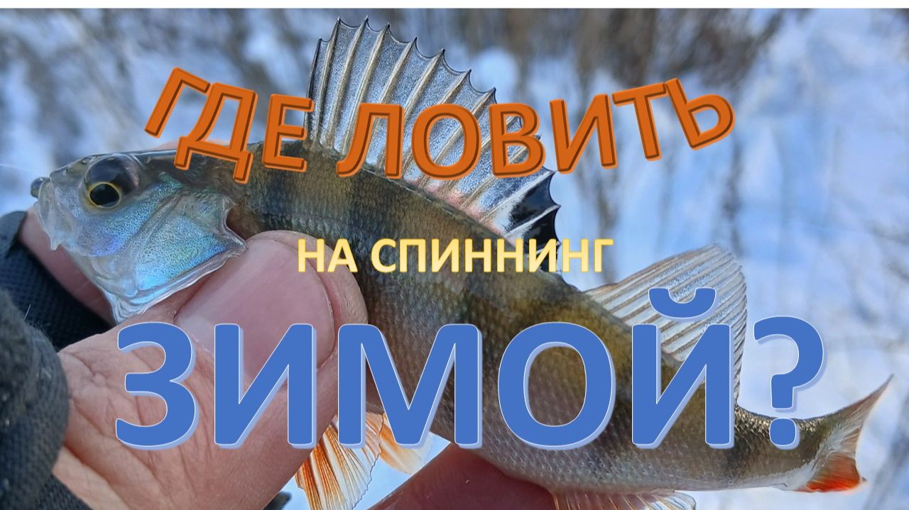 Ищем рыбу в Новый Год! смотреть онлайн