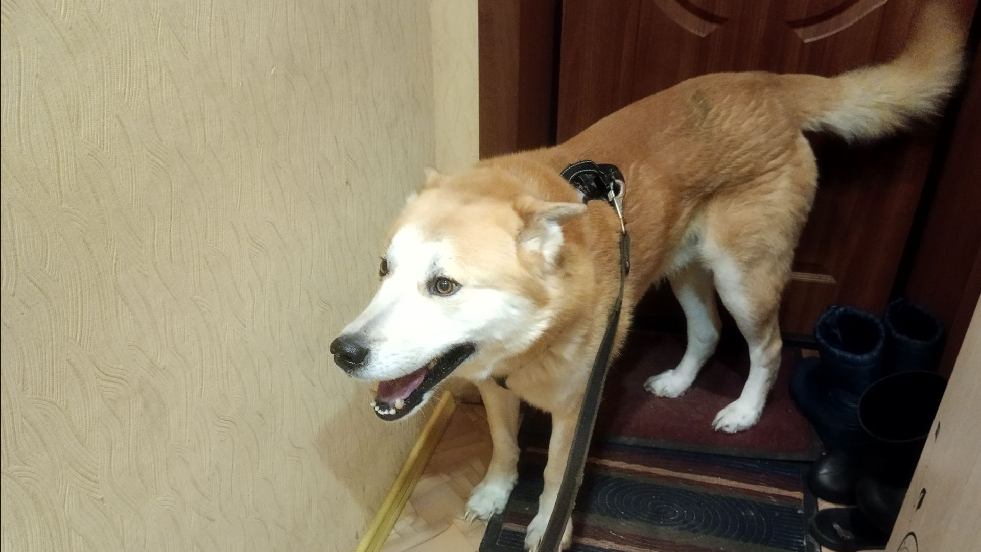 Вот такие у нас Друзья. Два друга. смотреть онлайн