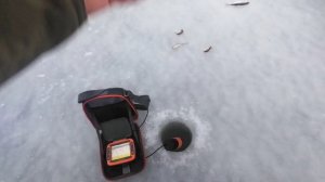 Открытие зимней рыбалки сезона 2025-2026. Суперклев! Окунь, плотва