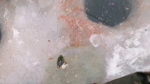 РЫБАЛКА НА КАРАСЯ. ОЗЕРО АТЯЖ. 04.01.2026