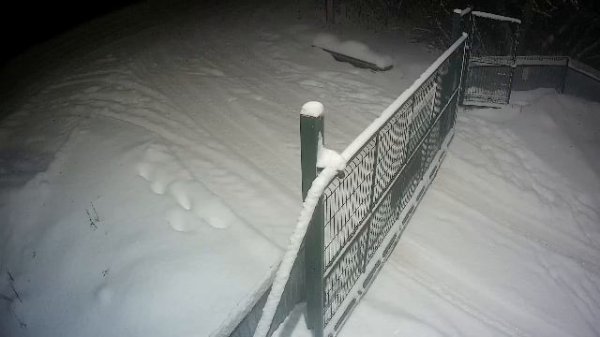 LIVE: channel74055310