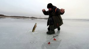 ЩУКА ВСЁ ПРЁТ И ПРЁТ ИЗ ЛУНОК .