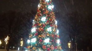 Танец зимы. Сергей Чекалин. Winter Dance. Sergey Chekalin.