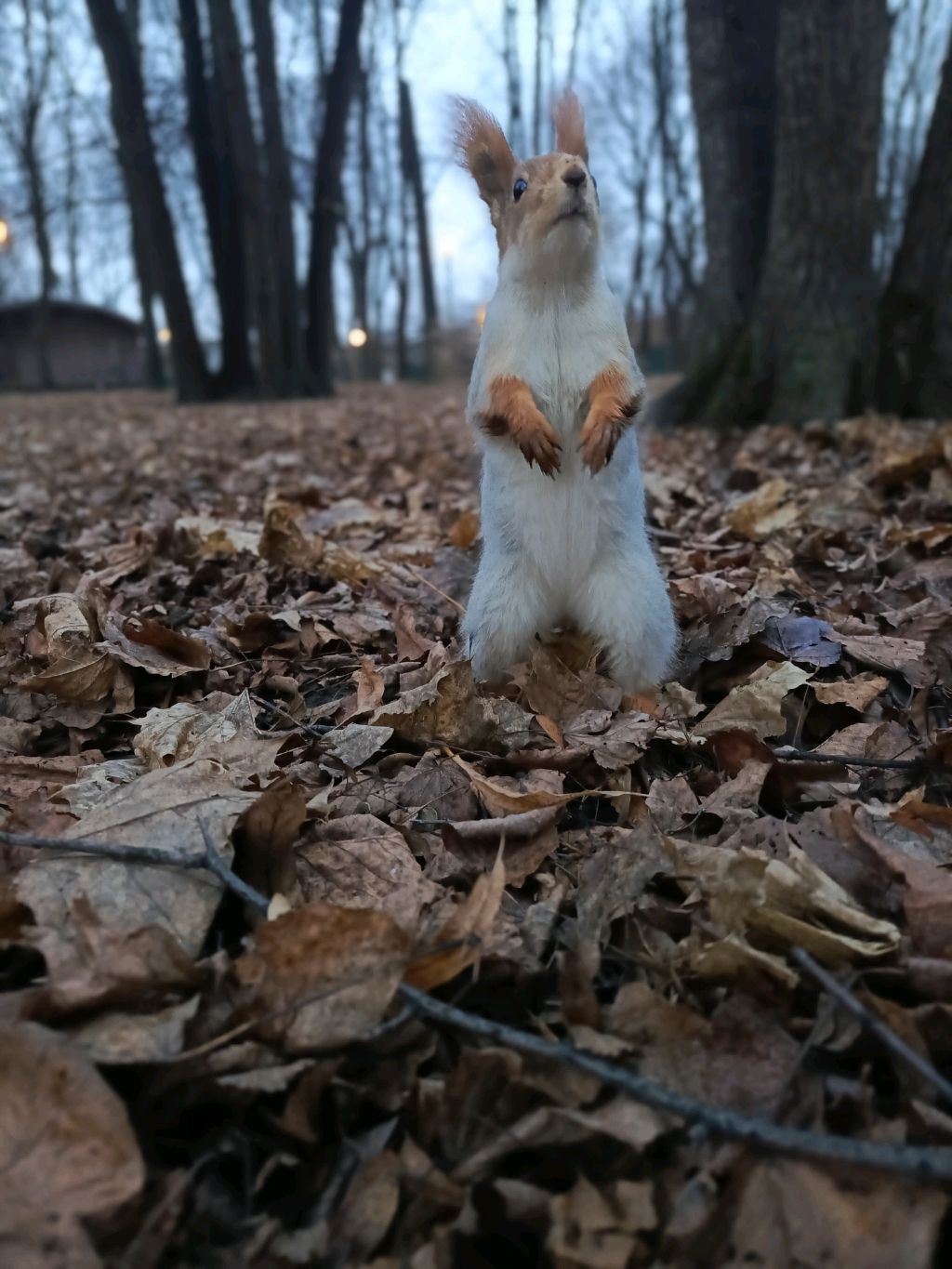 делаем украшение