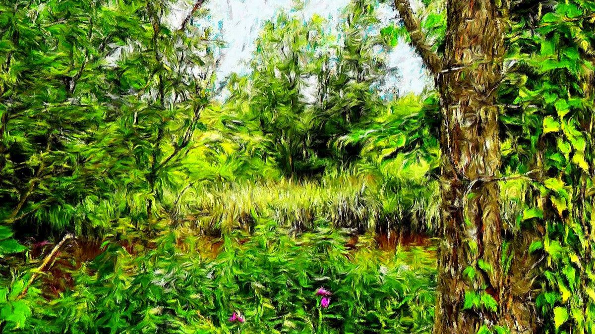 Весенний ветерок смотреть онлайн