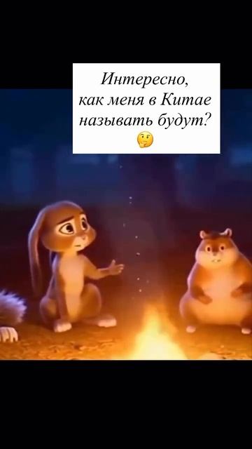 Хомяк не едет в Китай