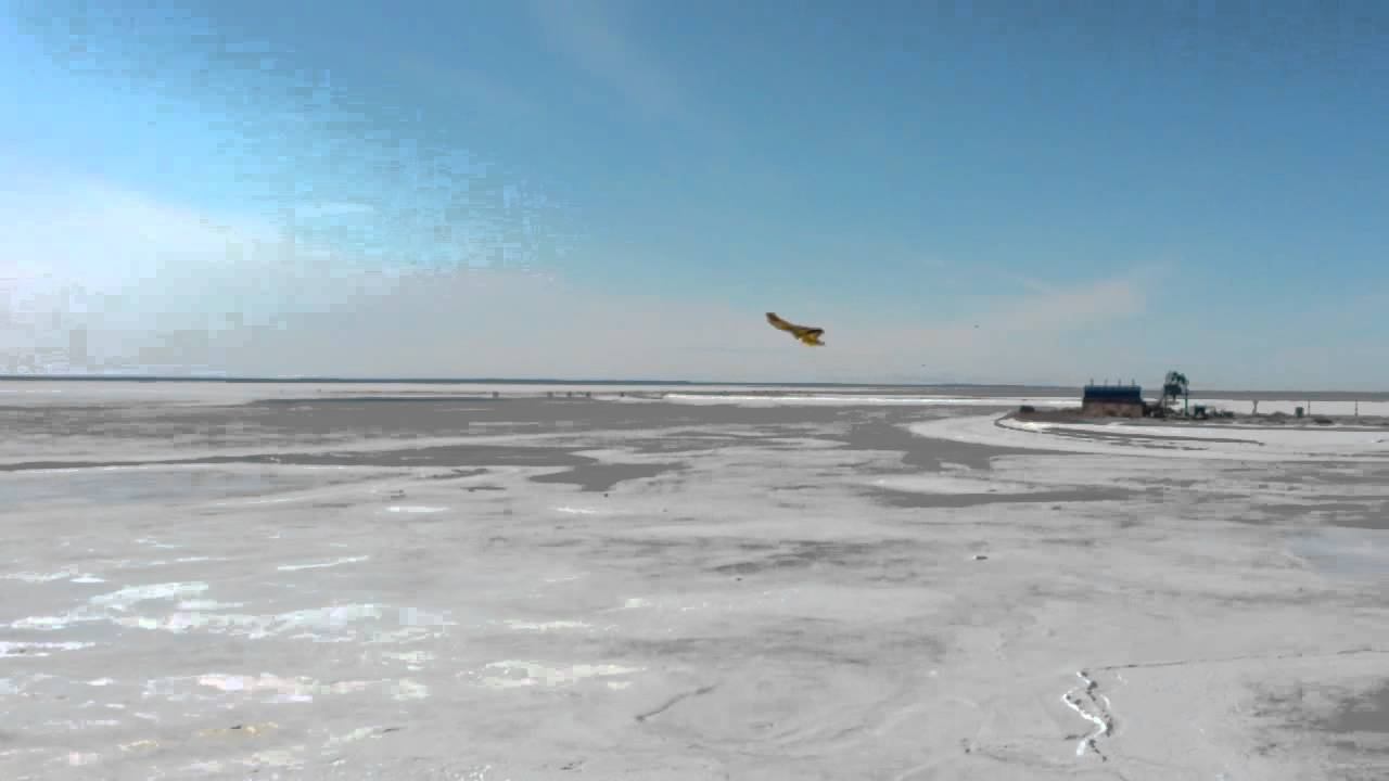 MOV 0109  Cut