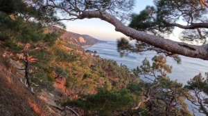 ДЖАНХОТ, Г БЕЗДНА, НЕКСИС, ПАРУС. 12.2