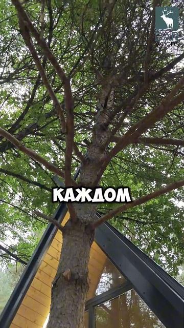 Решение для Террасы вашего Каркасного Дома смотреть онлайн