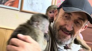 Финик скидывает Анфису с папы , но Анфиса прячется и не сдает своих позиций!