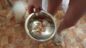 Чем кормить шпица кроме корма 🐾 Натуралка для собак