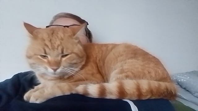 пьедестал для Бонифация 2