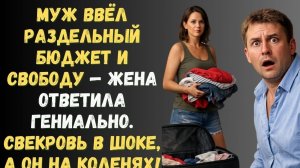 Муж ввёл раздельный БЮДЖЕТ и свободу — Я ответила гениально,  свекровь в шоке, а он на коленях!