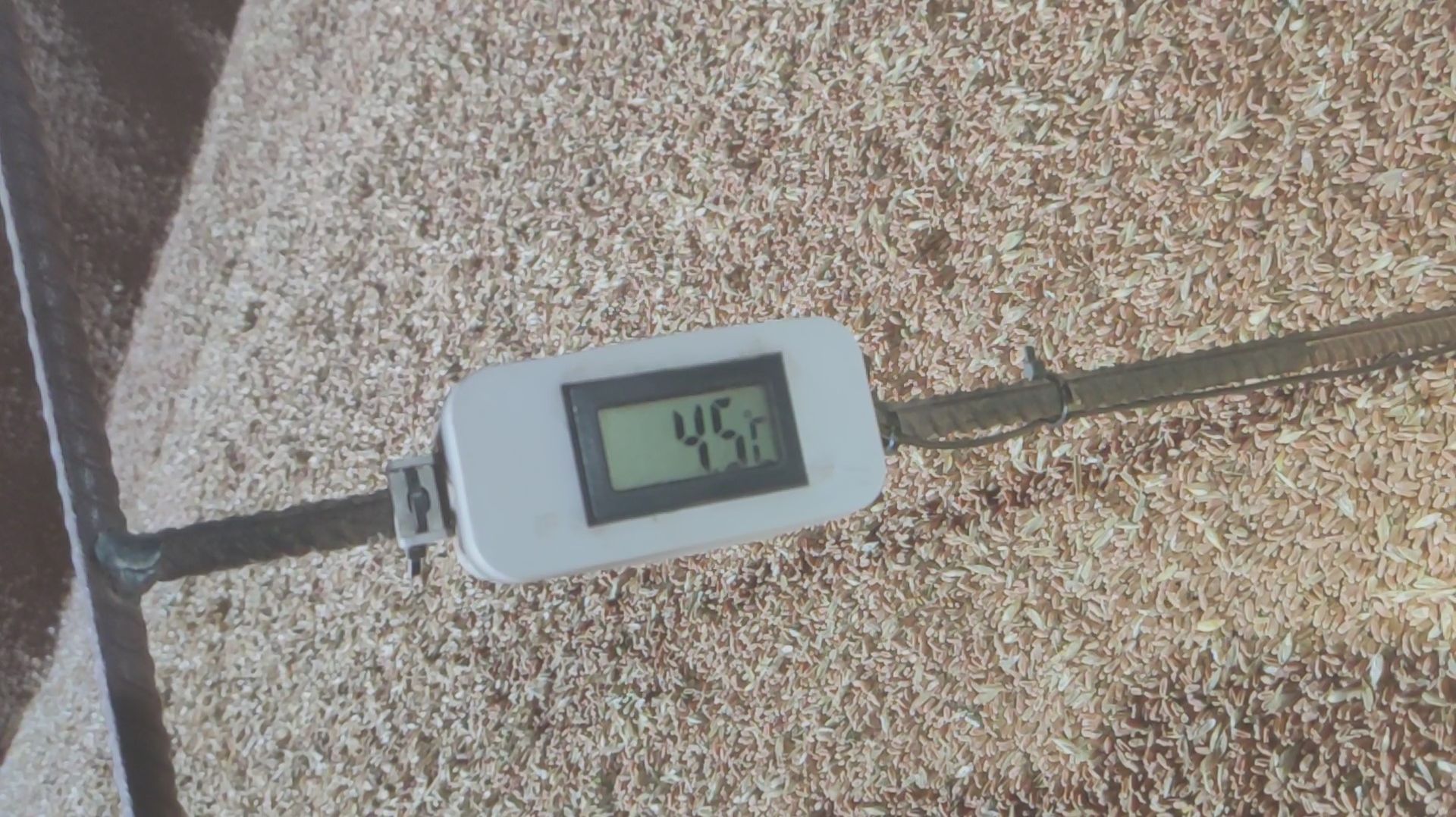 Щуп-Термометр для контроля температуры зерна в бурту