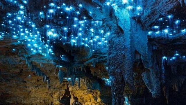 Пещеры светлячков Вайтомо