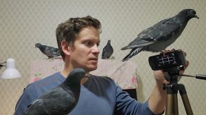 С птичками скучно не бывает. Наши ручные гульки