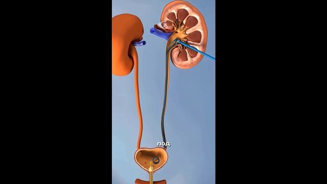 Будем здоровы. смотреть онлайн