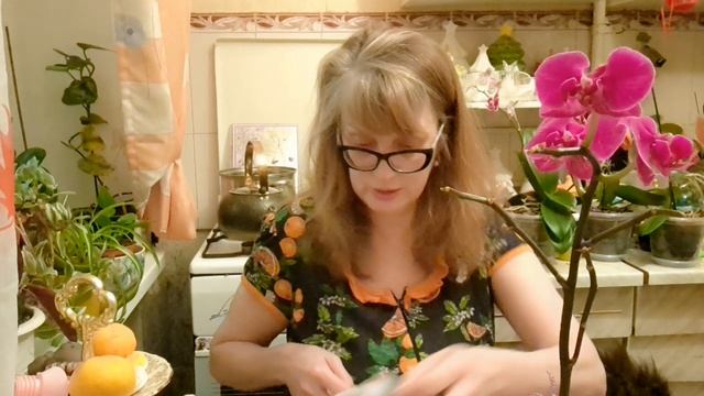 🖋️🚀 С РОЖДЕСТВОМ ХРИСТОВЫМ🙏РОЖДЕСТВЕНСКИЕ ПРИМЕТЫ 💃🔥МОИ БУДНИ🖋️🚀 смотреть онлайн