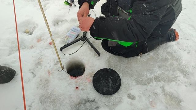 video5400264854609105534 смотреть онлайн