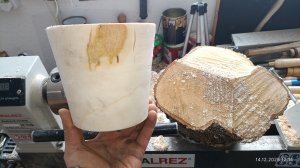 сырая берёза на план шайбе токарничаю обучаюсь. нашёл хороший комель корневая часть плотное дерево