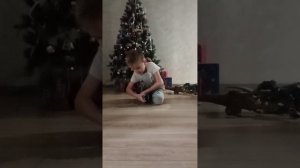 коллекция динозавров