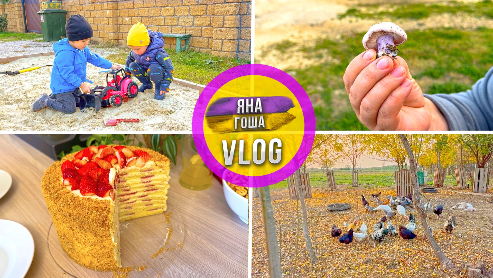 Синий крымский гриб. Что это? Друзья в гостях. Сходили на ферму. Торт. смотреть онлайн