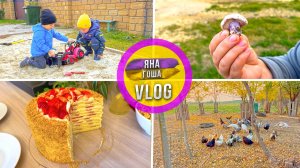 Синий крымский гриб. Что это? Друзья в гостях. Сходили на ферму. Торт.