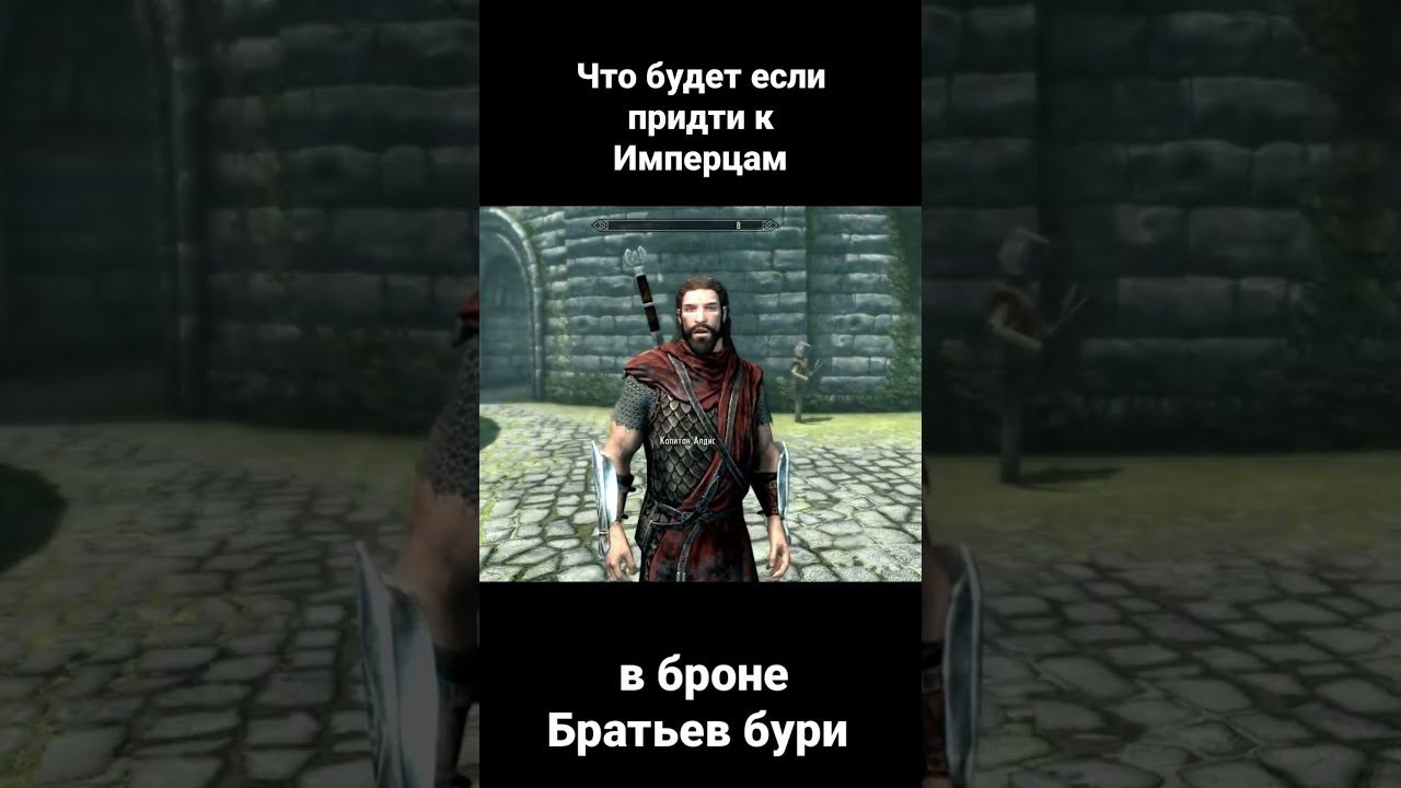 Skyrim Что будет если прийти к имперцам в броне братьев бури смотреть онлайн