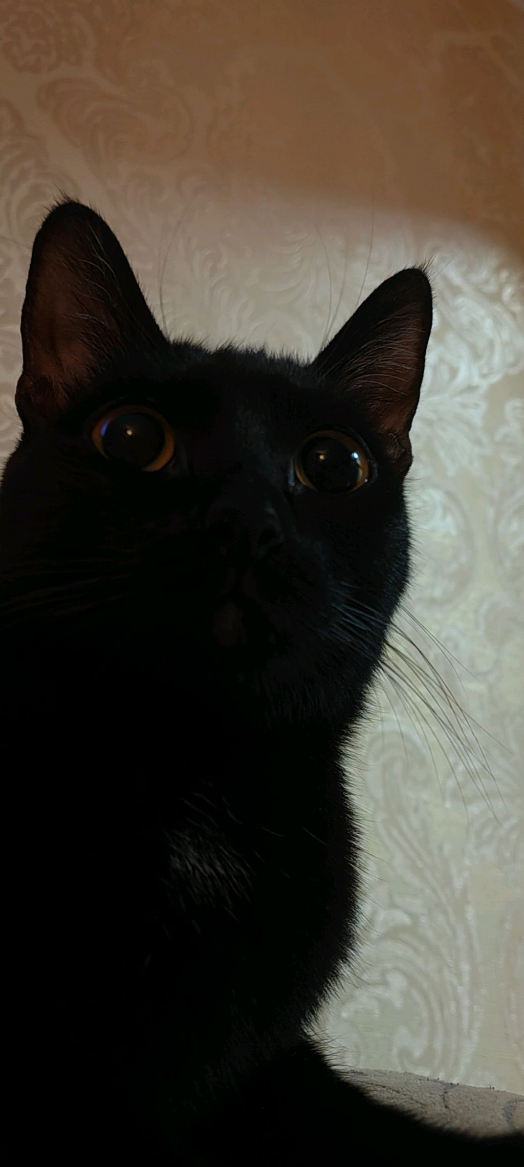 как я пою смотреть онлайн