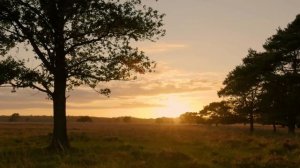 Ты у меня одна такая