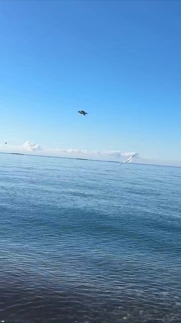 море смотреть онлайн