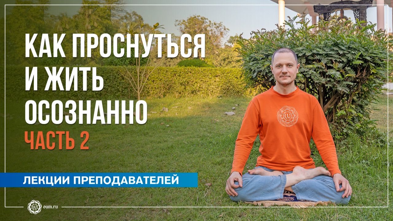 Как проснуться и жить осознанно. Часть 2. Александр Дувалин смотреть онлайн