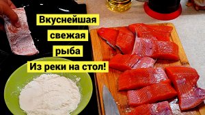 Сима клюет в дождь! Рыба зеркало!