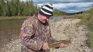 Экспедиция на Север Енисея. 3-я Серия. Сентябрь 2025.