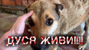 ДУСЯ ЖИВИ!!! МЫ ВСЕ ЖДЕМ ТВОЕГО ВЫЗДОРОВЛЕНИЯ!!!!