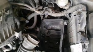 Замена масла в МКПП тойота корола, Toyota Corola 2008 год.