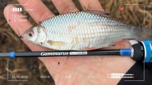 Канавных дел мастер! Зимний мормышинг