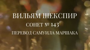 Вильям Шекспир. Сонет № 143. Пер. Самуила Яковлевича Маршака ( Нередко для того, чтобы поймать )