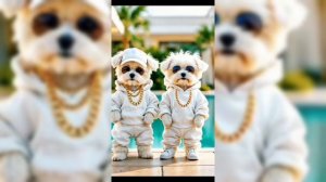 Танцующие кошки и собаки,созданные ИИ.Продолжение.