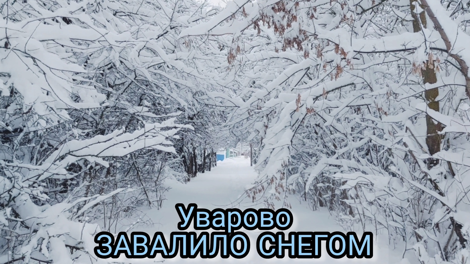 ЗАСНЕЖЕННАЯ ЗИМА 2026.