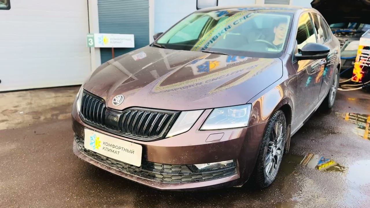 ШКОДА ОКТАВИЯ А7 СиЛиКаГеЛь можно ли промыть ⁉️замена OCTAVIA A7 комплексная промывка ГАРАНТИЯ✅ смотреть онлайн