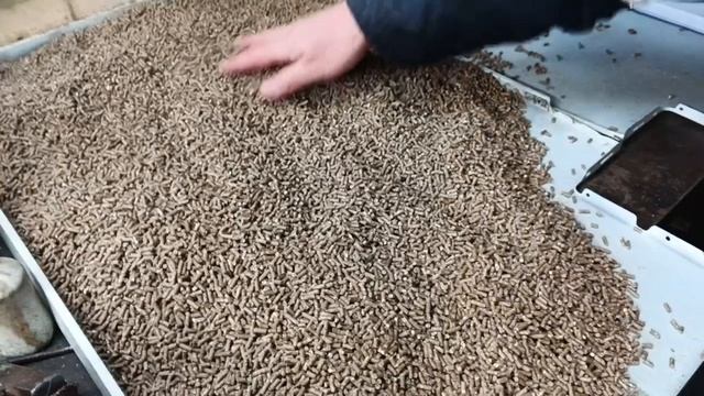 Притирка матрицы и замер производительности на грануляторе Компакт 125,фильера 3 мм.