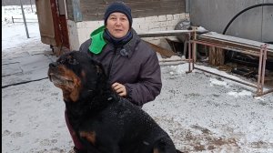 НЕМНОГО ГРУСТНАЯ ИСТОРИЯ С ХОРОШИМ КОНЦОМ. ОТВЕЧАЮ НА ВОПРОСЫ.